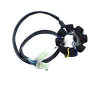 Statore Accensione Bobina Per CRF250 Per CRF250R 2004 2005 2006 2007 2008 2009 Per CRF450R 2005 2006 2007 2008 31120-KRN-670 Moto Magneto Statore Bobina