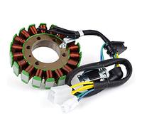 Statore accensione Bobina Statore Generatore Per LTF250 LTF250F LTF 250 Quad Runner 250 2WD 4WD LTF300F LT-F4