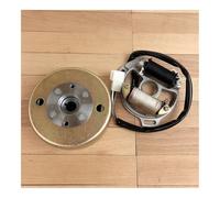 Statore accensione Bobina Statore Magnete Volano Rotore Per Scooter TB50 TB60