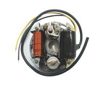 Statore accensione magnete bobina 2 Bobine Statore PUCH 6V 17W 35W Zundapp Kreidler Hercules PER Alternatore Accensione Bobina Statore PUCH 17 W 35 W