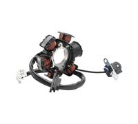 Statore accensione magnete bobina Bobina Di Accensione Magnete Statore Generatore Moto Magneto 5 Fili 6 Bobine Per Activ 110 50 Unik 110 Nexxon 50 125