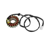 Statore accensione magnete bobina Bobina Statore Per Moto, Bobina Statore Magnete Generatore Per ZR750 ZR-7 1999-2005 21003-1349, Gruppo Bobina Statore Accensione