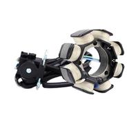 Statore accensione magnete bobina Bobina Statore Per Motocicletta Per CRF150R CRF150RB CRF 150R 150RB 2007-2009/2012-2021 CRF 150 R RB 31120-KSE-A71 31120-KSE-671
