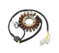 Statore accensione magnete bobina Generatore Alternatore Bobina Statore Magnete Moto Per GN250 1982-2001 TU250 1997-2002 2003 2004 2005 2006 32101-38302
