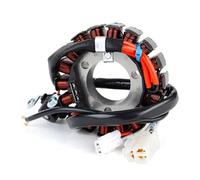 Statore Accensione Magneto Bobina Statore Per Moto 3D9-H1410-12 YB125 YB125SPD 2008 / YBR125ED 51D 2012