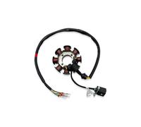 Statore Accensione Magneto Kit Bobina Statore Motocross, Magnete E Frizione A Sprag Motore Per ZONGSHEN NB300 CBS300 ZS174MN-3, Gruppo 8/12 Poli(8 Pole Stator)