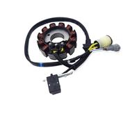 Statore Accensione Magneto ZS177MM ZS194MQ-2 Bobina Statore DC 12V Per Motocicletta, Accensione Magneto-generatore Per SM-MOTORS