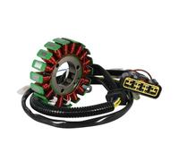 Statore Accensione Per Beeline ATV Per Bestia Motocicletta Magneto Motore Statore Generatore Bobina Statore Bobina Di Accensione OEM:283-75005-10 Statore Moto
