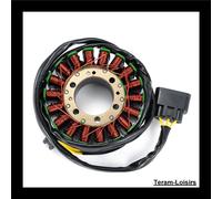 Statore Accensione Per Ducati Monster 821 Dal 2014 Al 2017 NUOVO