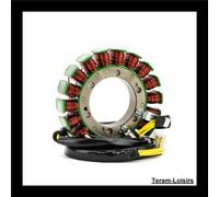 Statore Accensione per Honda XRV 750 L Rd04 Africa Twin Di 1990 1991 E 1992 New
