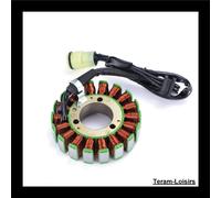 Statore Accensione Per Kawasaki KAF 450 Mule 1000 Del 1988 1989 1990 NUOVO