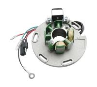 Statore Accensione Per TM Racing Per TM 125/250 EN e MX 2001-2021 TM 85 2002 Statore di accensione a 5 fili Statore