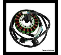Statore Accensione Per Yamaha 500 Tmax Del 2001 2002 2003 NUOVO