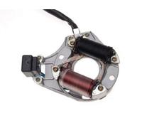 Statore alternatore 4T bobina 2 cavo 5 per CHOPPER EPA7006
