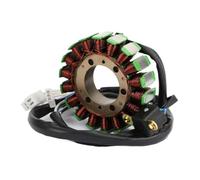 Statore Alternatore Magnete Compatibile Con Yamaha XVS 125 Drag 2000 2001 2002 2003 2004 2005 2006 E XVS 250 Drag 2000 2001 2002 2003 2004 2005 2006