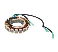 Statore, alternatore PARSUN F20-05000200