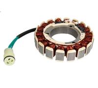Statore alternatore PARSUN F40-05000600EI