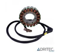STATORE ALTERNATORE per APRILIA ETV 1000 MILLE FUTURA (2001-2004)