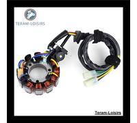 Statore Alternatore per Honda CRF 450 X de 2012 2013 2014 2015 2016 2017 Nuovo