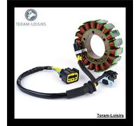 Statore Alternatore per Honda TRX 680 Fa 3ac À Partir De 2017