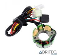 STATORE ALTERNATORE per HUSQVARNA TC 510 (2005-2010)