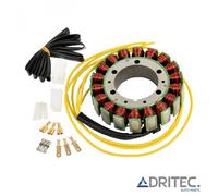 STATORE ALTERNATORE per KAWASAKI ZX6R 600 NINJA (1990-2002)