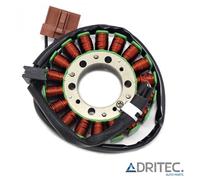 STATORE ALTERNATORE per KTM 690 DUKE (2008-2010)