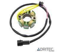 STATORE ALTERNATORE per KTM SXS-F 250 (2006-2008)