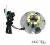 ✅ Statore Alternatore per SUZUKI RM 250 (1986-1995)