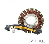 ✅ STATORE ALTERNATORE per TRIUMPH DAYTONA 675 (2006-2012) CONSEGNA 24/48 ORE