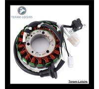 Statore Alternatore Per Yamaha SX Venom 600 Del 2004 2005 2006