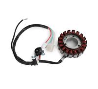 STATORE ALTERNATORE PER YAMAHA YBR 125 ED 3D9/51D 2007-2014 YB125SPD 2008 Y0