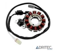 STATORE ALTERNATORE per YAMAHA YZ 450 (2010-2013)