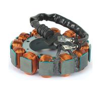 Statore anti surriscaldamento cycle electric 02-05 tutti gli flt