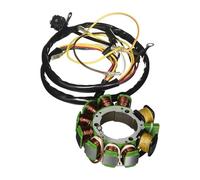 Statore Bobina 3085561 3086821 Statore Accensione Magnete Per Polaris Per Big Boss Per Magnum Per Scrambler Per Sportsman Per Worker Per RAnger 500