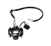 Statore Bobina Bobina A 6 Poli 5 Fili Accensione A Mezza Onda Magnete Statore Sostituzione Per Motore GY6 50cc-125cc ATV, Quad Bici Scooter Quad Go-kart