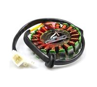 Statore Bobina Bobina Statore Cilindro Magnetico Rotore Moto 18 Poli Per AN125 HJ125T-7-8A HS125T-2(Coil)