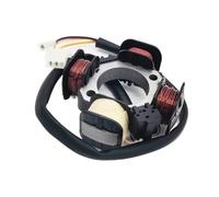 Statore Bobina Bobina Statore Magneto A 4 Poli Per Motore Scooter SJ50 H1E41QMB Per AG50 60 Per SJ50