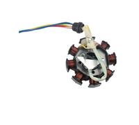 Statore Bobina Bobina Statore Magneto Generatore Moto 8 Poli 5 Fili Per Modifica 150cc 250cc Motocross ATV