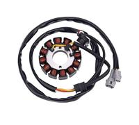 Statore Bobina Compatibile Con Yamaha Per WR250F 2004 2005 2006 2007 2008 2009 2010 2011 2012 2013 2014 5UM-81410-09-00 Bobina Statore Generatore Moto