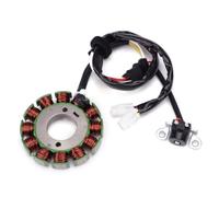 Statore Bobina Compatibile Con Yamaha Per WR250F 2004 2005 2006 2007 2008 2009 2010 2011 2012 2013 2014 5UM-81410-09-00 Bobina Statore Generatore Moto