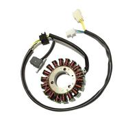 Statore Bobina Generatore Alternatore Per Motocicletta Per GN250 Magneto Statore Bobina Magnete Bobine Di Carica 250cc