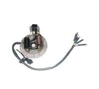 Statore Bobina Magnete 2 4 Bobine Kit Statore Magnete Rotore Accensione Volano Moto per Motore Lifan 110cc 125cc 140cc
