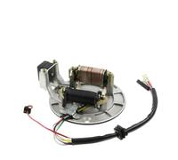 Statore Bobina Magnete 2 Bobine Piastra Statore Magnete di Accensione per 50cc 70cc 90cc 110cc 125cc Kazuma XR50 SSR 107 110 125 CC Baja ATV Quad