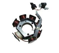 Statore Bobina Magnete Moto 7 Poli Magnete Statore Bobina Generatore per 125cc YBR YBR125 YB125 XTZ125 125 Rotore Interno Statore