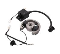 Statore Bobina Magnete Moto Bobina di Accensione Bobina Magnetica Statore Volano per Moto 50 SX 50cc PRO Senior Junior SR JR 2001-2008