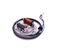 Statore Bobina Magnete Moto Bobina Magnete Statore per 2 Tempi 100cc AX 100 Rotore Bobina Statore Statore Accensione Bobina Moto