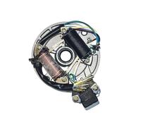 Statore Bobina Magnete Piastra Statore Magnete Bobina di Accensione Rotore per JH70 70cc 90cc 110cc 125cc ATV Go Kart Moto