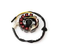 Statore Bobina Magnete ricambi Moto Generatore Magnete accensione Statore Bobina 11 Poli Adatto per GY6-125 125cc 150cc ATV Moto