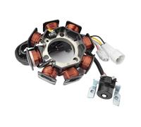 Statore Bobina Magnete Statore Bobina per Breeze 125 YFA1 2002 2003 2004 3FA-81410-00 Generatore Magnete Accensione Moto Statore